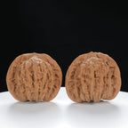 "Si Zuo Lou" Original entry level Wenwan Walnuts Pair | Size:44L*39W*38H | UPI:UR-00014