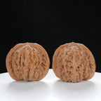 "Si Zuo Lou" Original entry level Wenwan Walnuts Pair | Size:44L*39W*38H | UPI:UR-00014