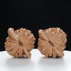 "Si Zuo Lou" Original entry level Wenwan Walnuts Pair | Size:44L*39W*38H | UPI:UR-00014