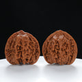 "Starry Sky" Elegant entry level Wenwan Walnuts Pair | Size:41L*39W*40H | UPI:UR-00015