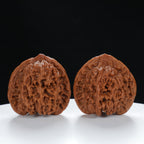 "Starry Sky" Elegant entry level Wenwan Walnuts Pair | Size:41L*39W*40H | UPI:UR-00015