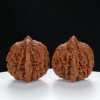 "Starry Sky" Elegant entry level Wenwan Walnuts Pair | Size:41L*39W*40H | UPI:UR-00015