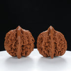 "Starry Sky" Elegant entry level Wenwan Walnuts Pair | Size:41L*39W*40H | UPI:UR-00015