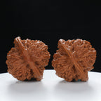 "Starry Sky" Elegant entry level Wenwan Walnuts Pair | Size:41L*39W*40H | UPI:UR-00015