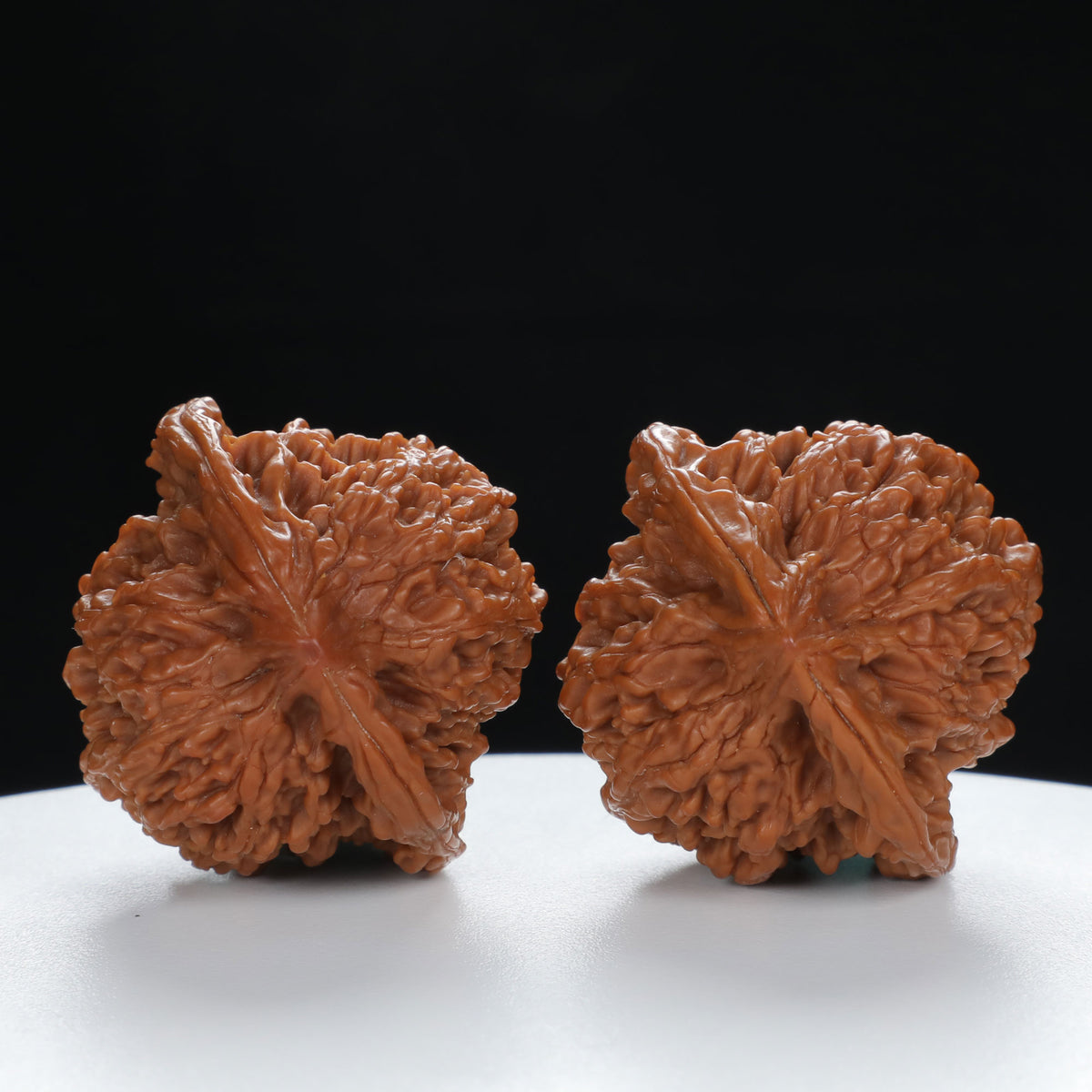 "Starry Sky" Elegant entry level Wenwan Walnuts Pair | Size:41L*39W*40H | UPI:UR-00015
