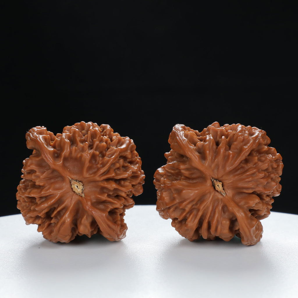 "Starry Sky" Elegant entry level Wenwan Walnuts Pair | Size:41L*39W*40H | UPI:UR-00015