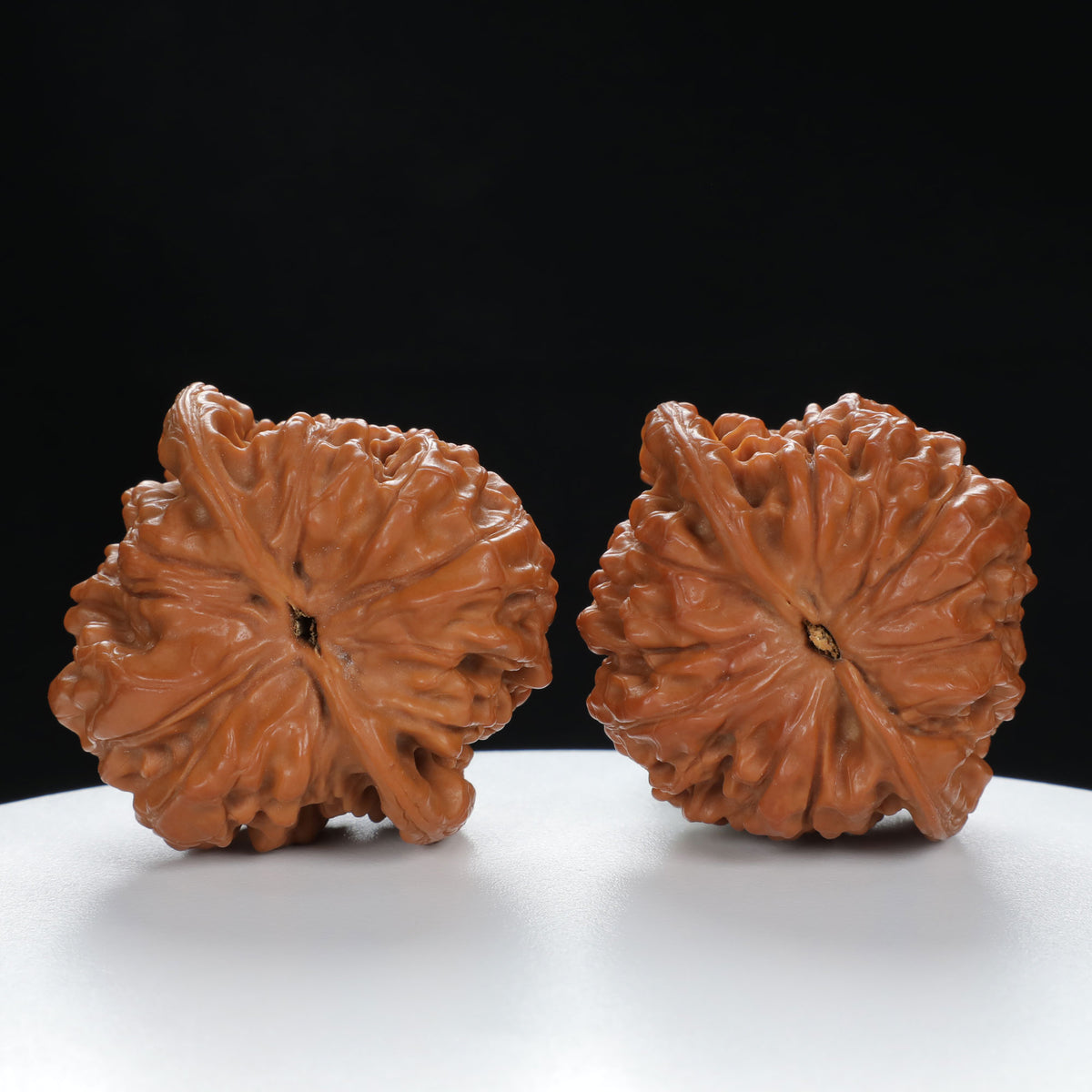 "Large Mandarin Hat" Handpicked entry level Wenwan Walnuts Pair | Size:48L*44W*46H | UPI:UR-00016