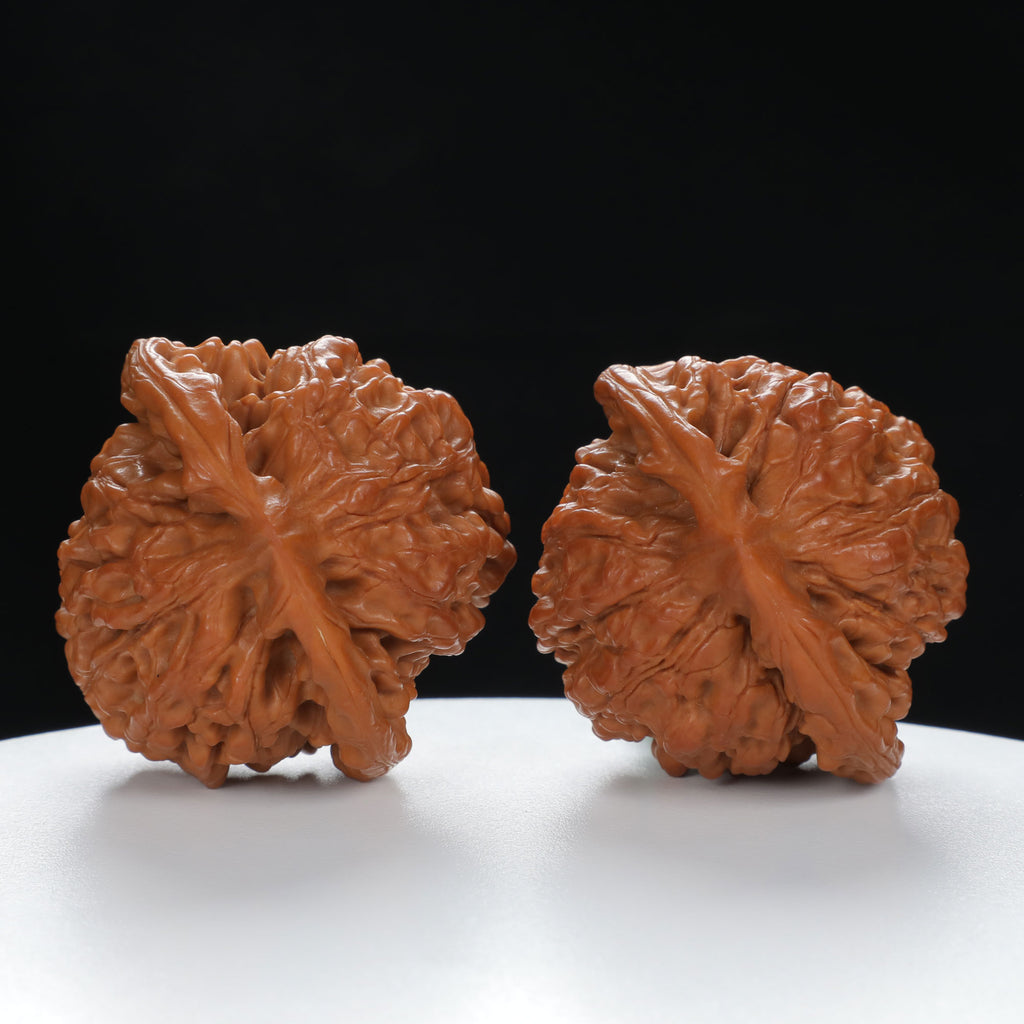 "Large Mandarin Hat" Handpicked entry level Wenwan Walnuts Pair | Size:48L*44W*46H | UPI:UR-00016