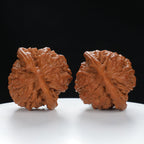 "Large Mandarin Hat" Handpicked entry level Wenwan Walnuts Pair | Size:48L*44W*46H | UPI:UR-00016