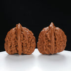 "Large Mandarin Hat" Handpicked entry level Wenwan Walnuts Pair | Size:48L*44W*46H | UPI:UR-00016