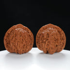 "Large Mandarin Hat" Handpicked entry level Wenwan Walnuts Pair | Size:48L*44W*46H | UPI:UR-00016