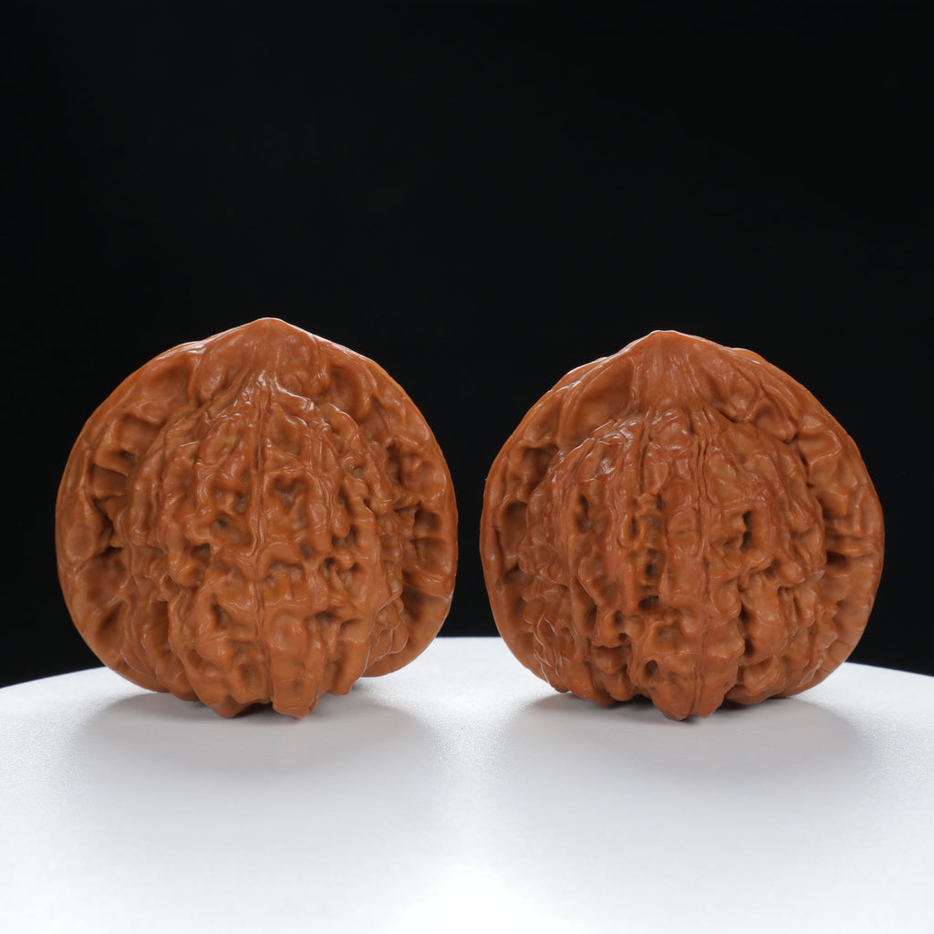 "Large Mandarin Hat" Handpicked entry level Wenwan Walnuts Pair | Size:48L*44W*46H | UPI:UR-00016