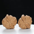 "White Lion's Head" Curated entry level Wenwan Walnuts Pair | Size:34L*33W*29H | UPI:UR-00017
