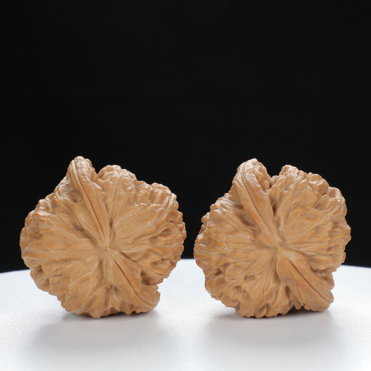"White Lion's Head" Curated entry level Wenwan Walnuts Pair | Size:34L*33W*29H | UPI:UR-00017
