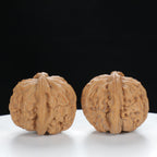 "White Lion's Head" Curated entry level Wenwan Walnuts Pair | Size:34L*33W*29H | UPI:UR-00017