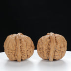 "White Lion's Head" Curated entry level Wenwan Walnuts Pair | Size:34L*33W*29H | UPI:UR-00017