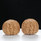 "White Lion's Head" Curated entry level Wenwan Walnuts Pair | Size:34L*33W*29H | UPI:UR-00017