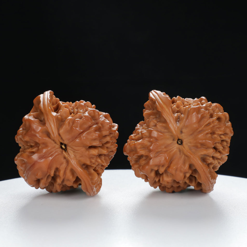 "Large Mandarin Hat" Artisan entry level Wenwan Walnuts Pair | Size:44L*42W*46H | UPI:UR-00018