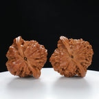 "Large Mandarin Hat" Artisan entry level Wenwan Walnuts Pair | Size:44L*42W*46H | UPI:UR-00018