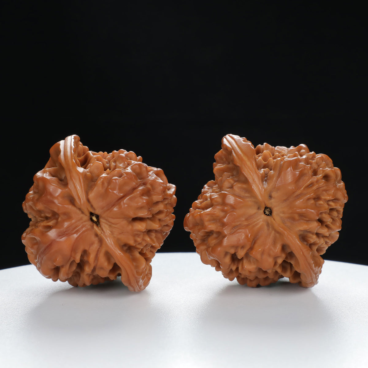 "Large Mandarin Hat" Artisan entry level Wenwan Walnuts Pair | Size:44L*42W*46H | UPI:UR-00018