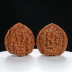 "Large Mandarin Hat" Artisan entry level Wenwan Walnuts Pair | Size:44L*42W*46H | UPI:UR-00018