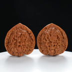 "Large Mandarin Hat" Artisan entry level Wenwan Walnuts Pair | Size:44L*42W*46H | UPI:UR-00018