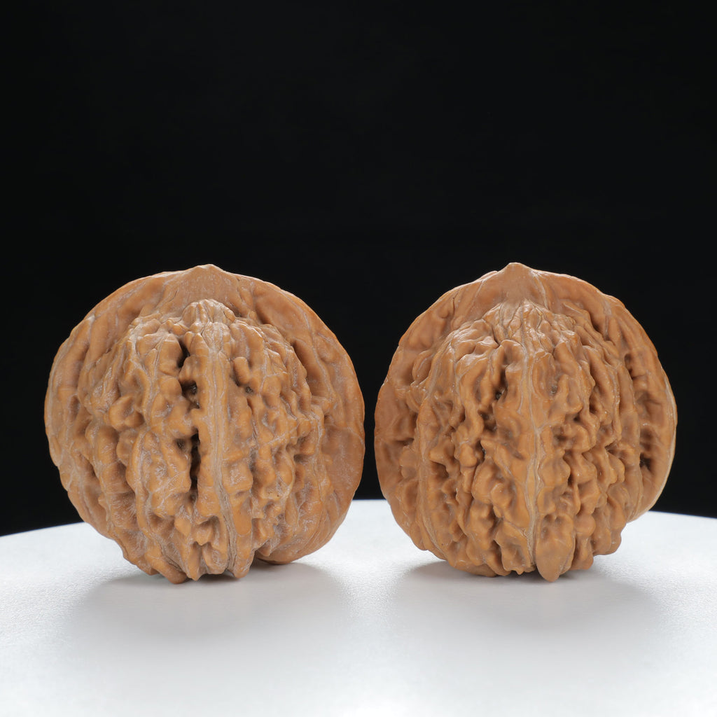 "White Lion's Head" Premium entry level Wenwan Walnuts Pair | Size:39L*39W*38H | UPI:UR-00019