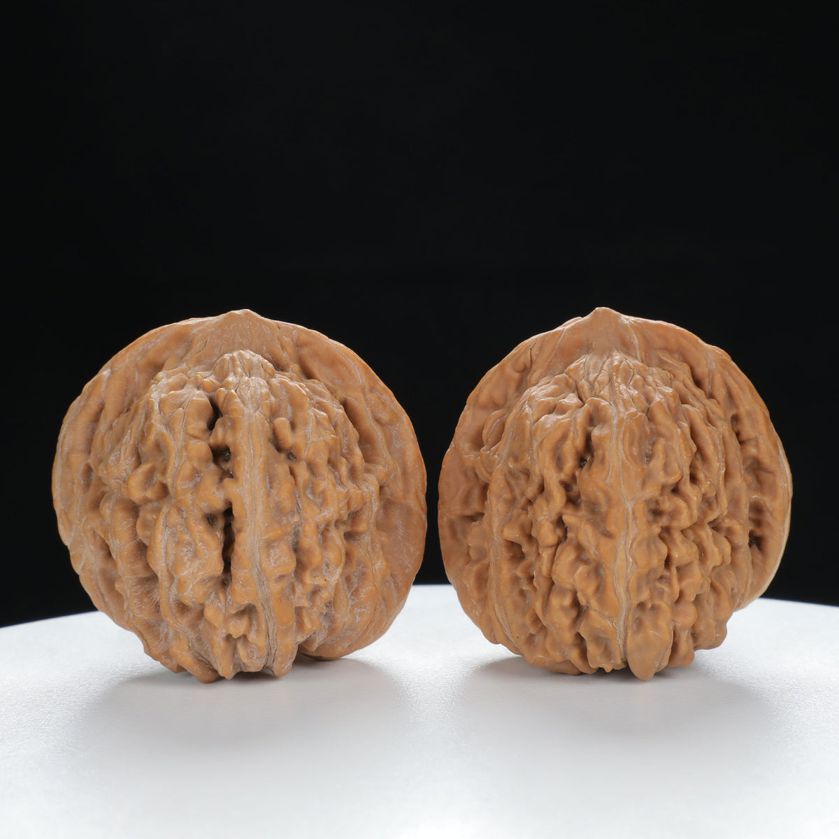 "White Lion's Head" Premium entry level Wenwan Walnuts Pair | Size:39L*39W*38H | UPI:UR-00019