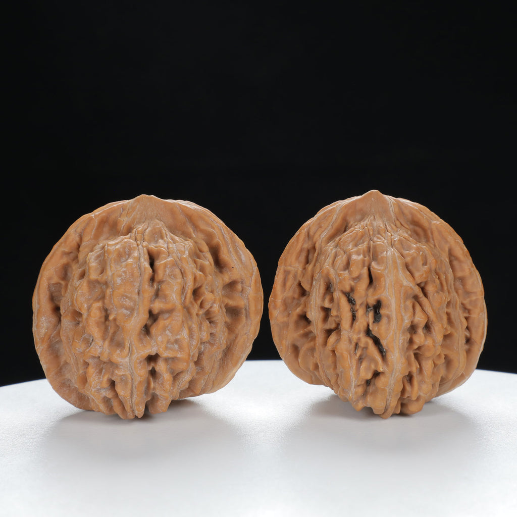 "White Lion's Head" Premium entry level Wenwan Walnuts Pair | Size:39L*39W*38H | UPI:UR-00019