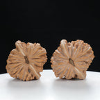 "White Lion's Head" Premium entry level Wenwan Walnuts Pair | Size:39L*39W*38H | UPI:UR-00019