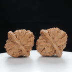 "White Lion's Head" Premium entry level Wenwan Walnuts Pair | Size:39L*39W*38H | UPI:UR-00019