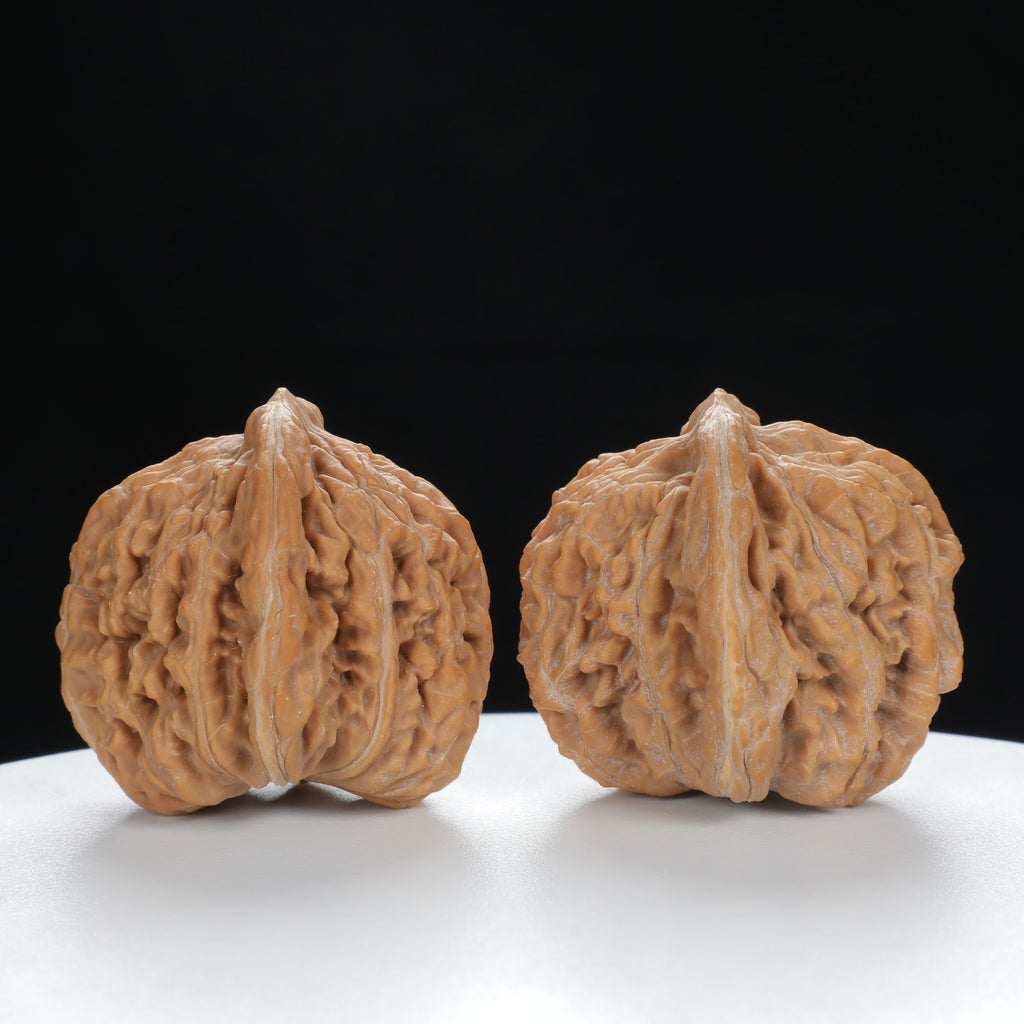 "White Lion's Head" Premium entry level Wenwan Walnuts Pair | Size:39L*39W*38H | UPI:UR-00019