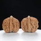 "White Lion's Head" Premium entry level Wenwan Walnuts Pair | Size:39L*39W*38H | UPI:UR-00019