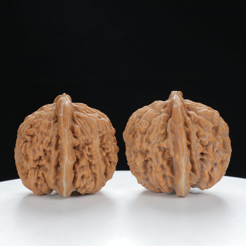 "White Lion's Head" Premium entry level Wenwan Walnuts Pair | Size:39L*39W*38H | UPI:UR-00019
