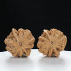 "Large Mandarin Hat" Vintage-style entry level Wenwan Walnuts Pair | Size:38L*38W*40H | UPI:UR-00020
