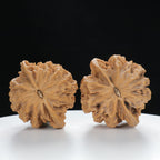 "Large Mandarin Hat" Collector's entry level Wenwan Walnuts Pair | Size:45L*40W*43H | UPI:UR-00021