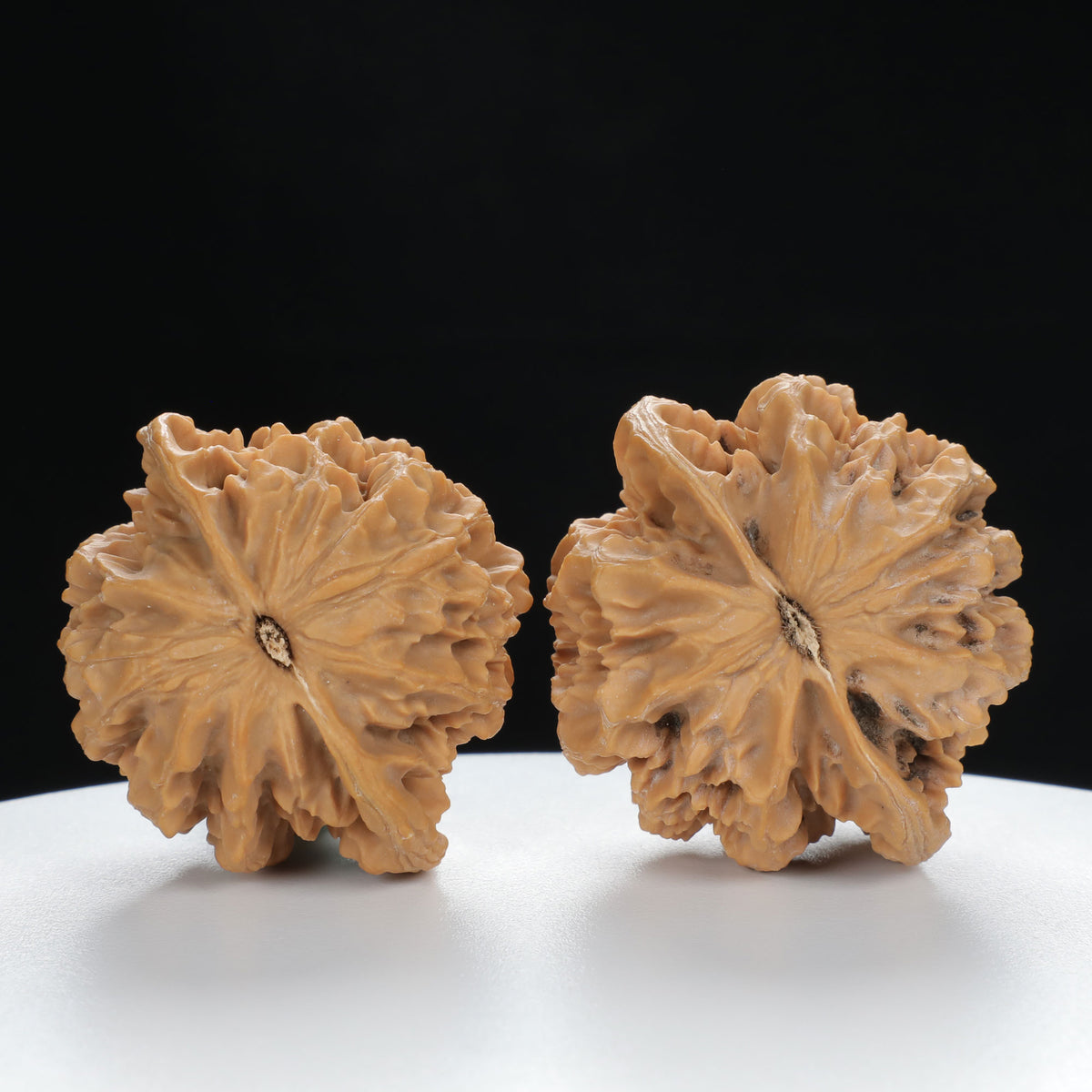 "Large Mandarin Hat" Collector's entry level Wenwan Walnuts Pair | Size:45L*40W*43H | UPI:UR-00021