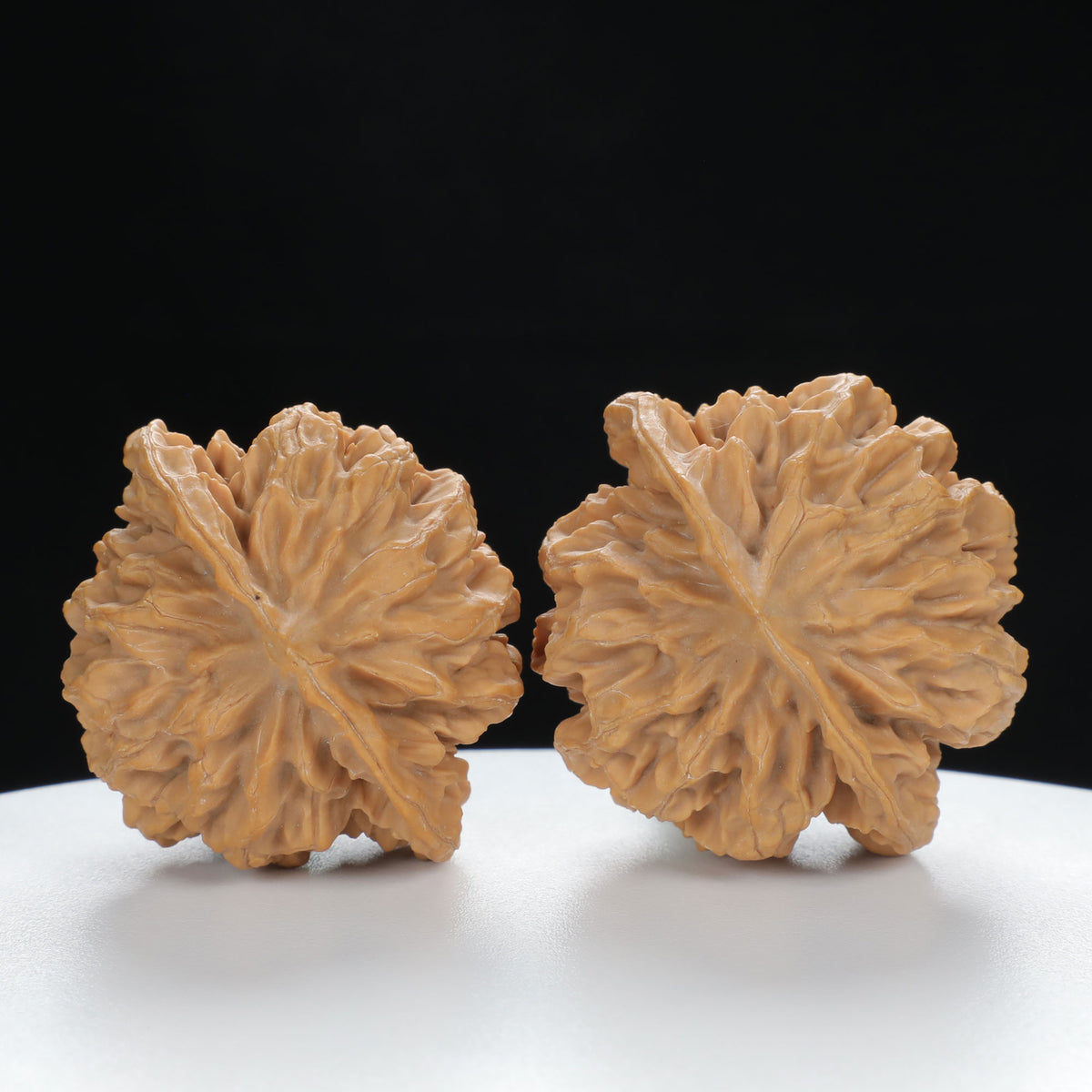 "Large Mandarin Hat" Collector's entry level Wenwan Walnuts Pair | Size:45L*40W*43H | UPI:UR-00021