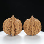 "Large Mandarin Hat" Collector's entry level Wenwan Walnuts Pair | Size:45L*40W*43H | UPI:UR-00021