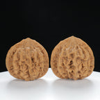 "Large Mandarin Hat" Collector's entry level Wenwan Walnuts Pair | Size:45L*40W*43H | UPI:UR-00021