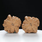 "Millstone" Time-honored entry level Wenwan Walnuts Pair | Size:40L*38W*31H | UPI:UR-00022