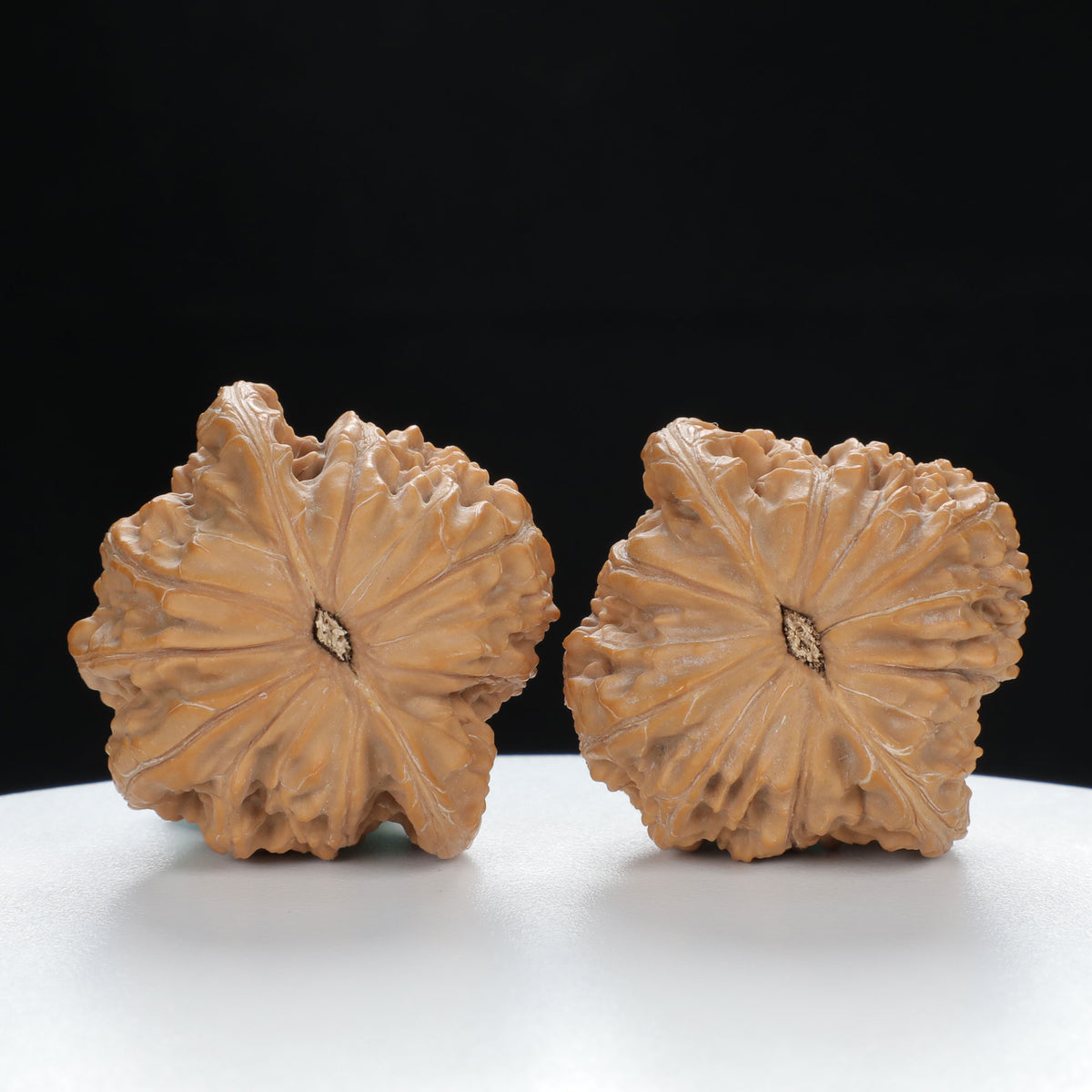 "Millstone" Time-honored entry level Wenwan Walnuts Pair | Size:40L*38W*31H | UPI:UR-00022