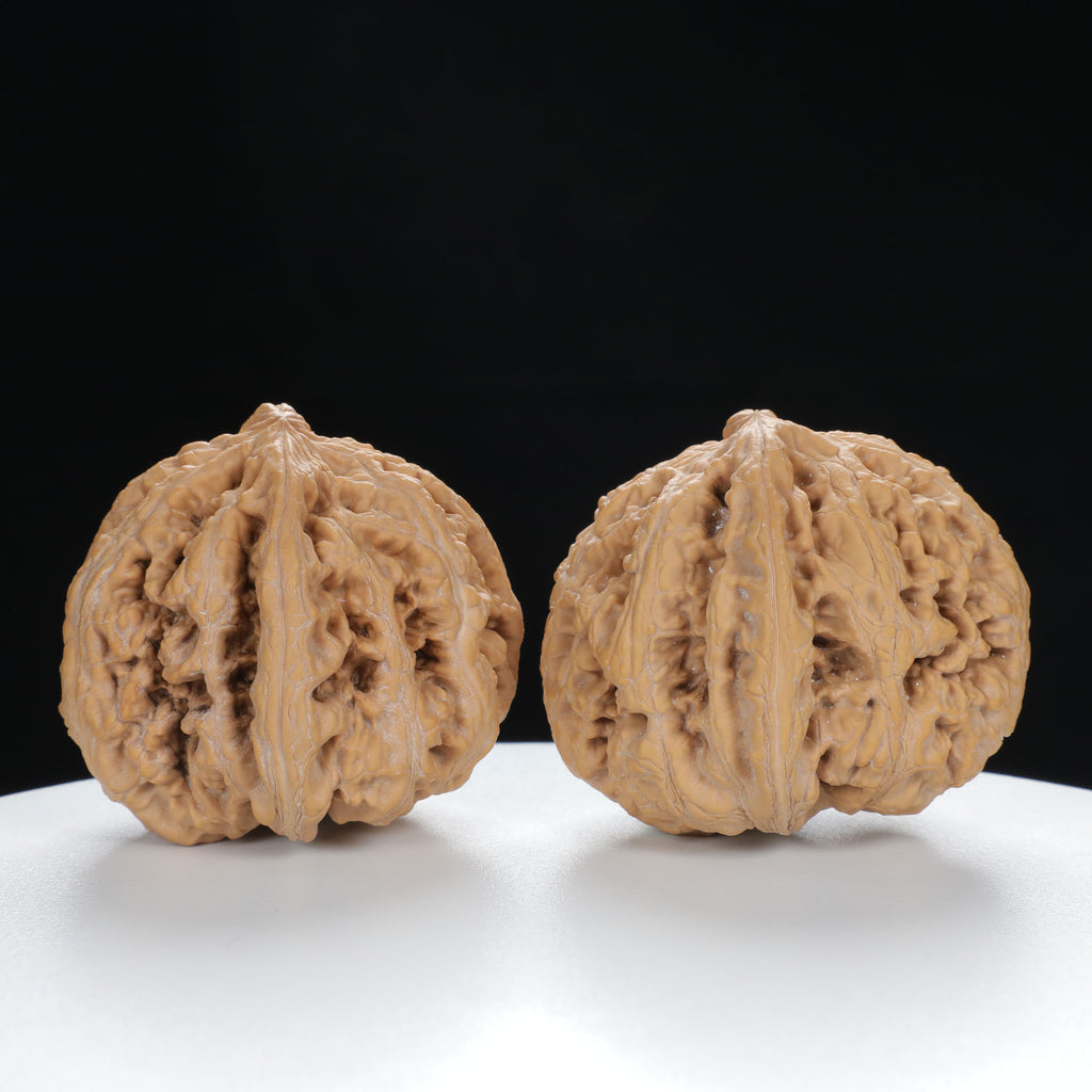 "Si Zuo Lou" Essential entry level Wenwan Walnuts Pair | Size:42L*46W*41H | UPI:UR-00025