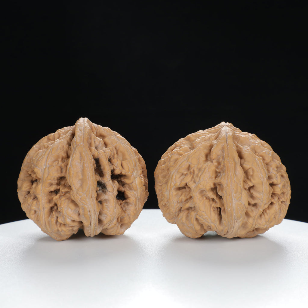 "Si Zuo Lou" Essential entry level Wenwan Walnuts Pair | Size:42L*46W*41H | UPI:UR-00025