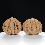 "Si Zuo Lou" Essential entry level Wenwan Walnuts Pair | Size:42L*46W*41H | UPI:UR-00025