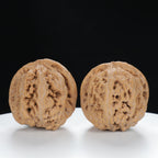 "Si Zuo Lou" Essential entry level Wenwan Walnuts Pair | Size:42L*46W*41H | UPI:UR-00025