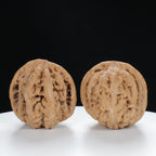 "Si Zuo Lou" Essential entry level Wenwan Walnuts Pair | Size:42L*46W*41H | UPI:UR-00025
