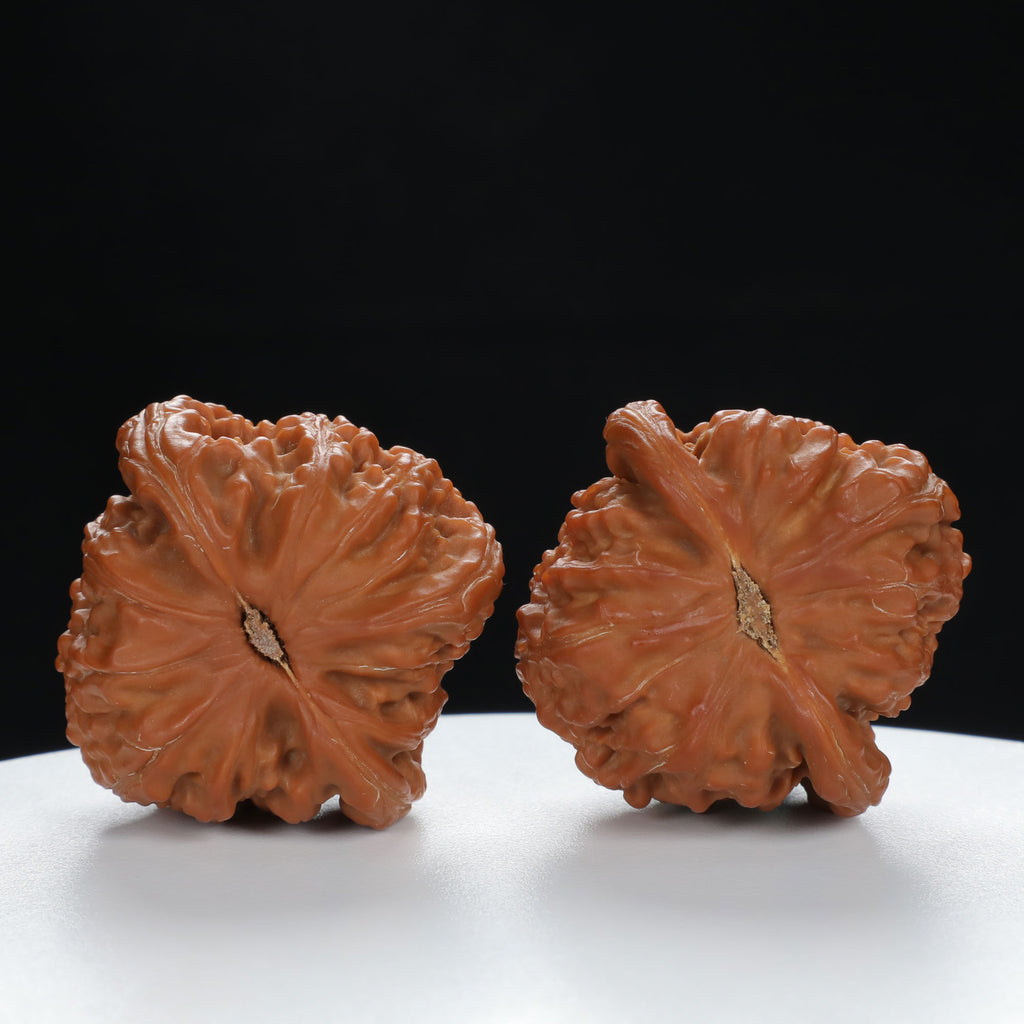 "Lion's Head" Traditional entry level Wenwan Walnuts Pair | Size:41L*40W*34H | UPI:UR-00026