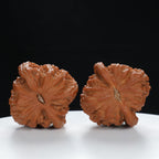 "Lion's Head" Traditional entry level Wenwan Walnuts Pair | Size:41L*40W*34H | UPI:UR-00026