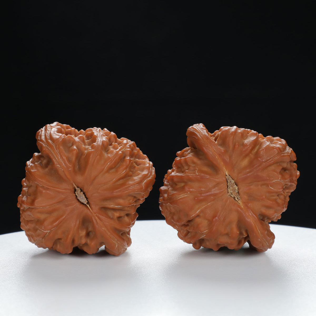 "Lion's Head" Traditional entry level Wenwan Walnuts Pair | Size:41L*40W*34H | UPI:UR-00026